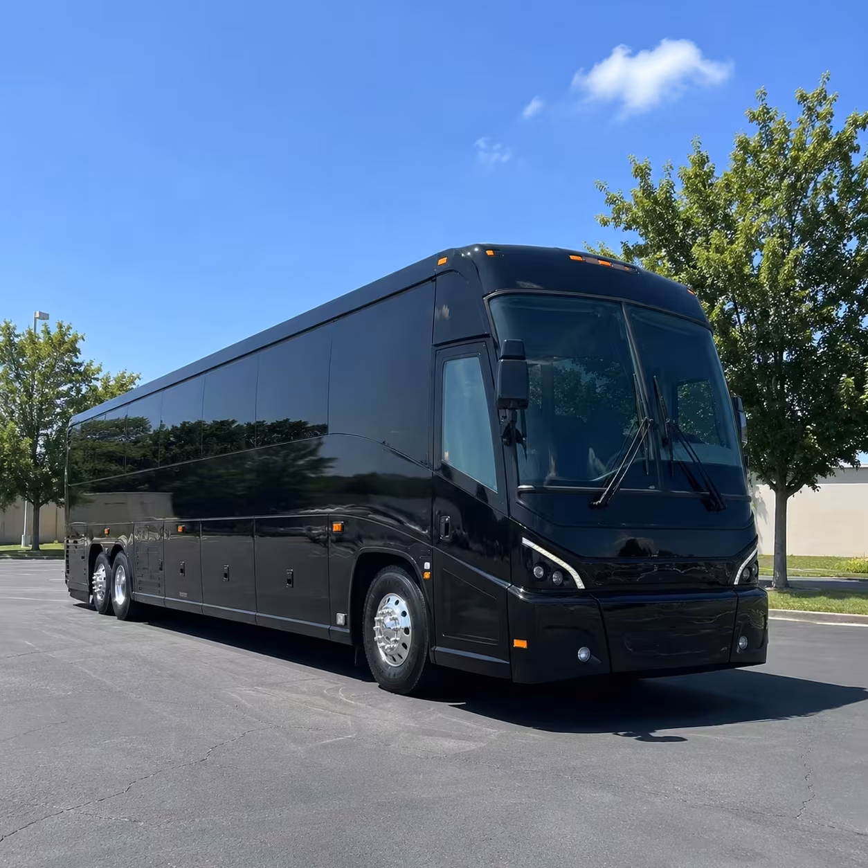 56 passenger charter bus